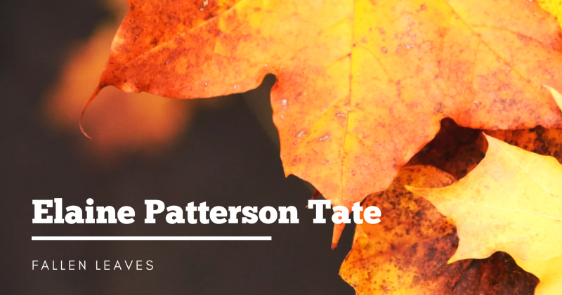 Celebrating the Life of Elaine Patterson Tate